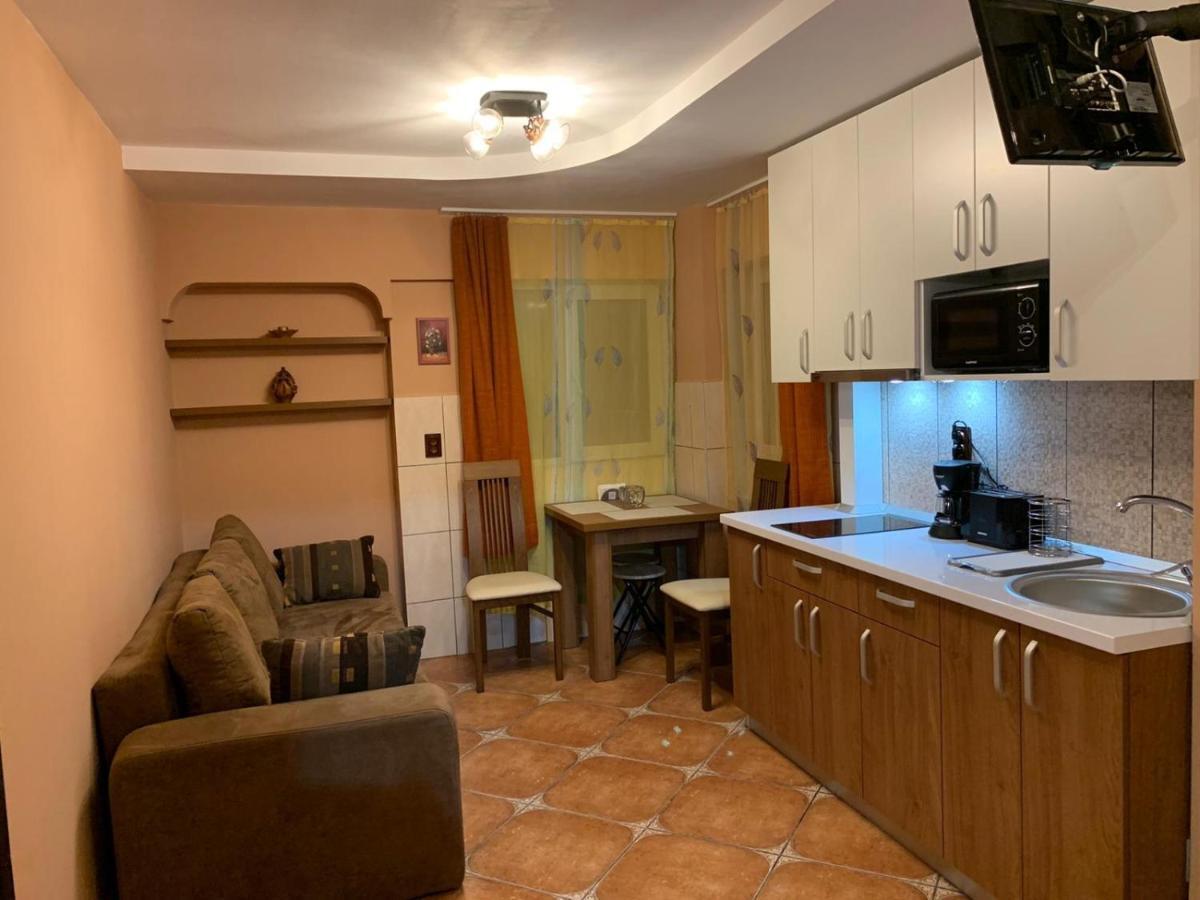 Ferienwohnung Garsoniera Ania Băile Felix Exterior foto