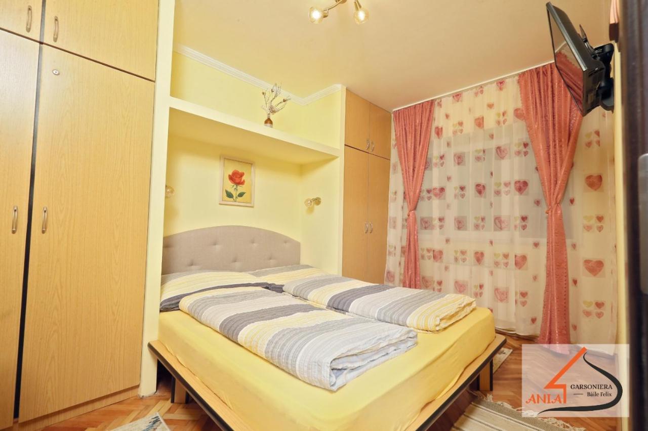 Ferienwohnung Garsoniera Ania Băile Felix Exterior foto