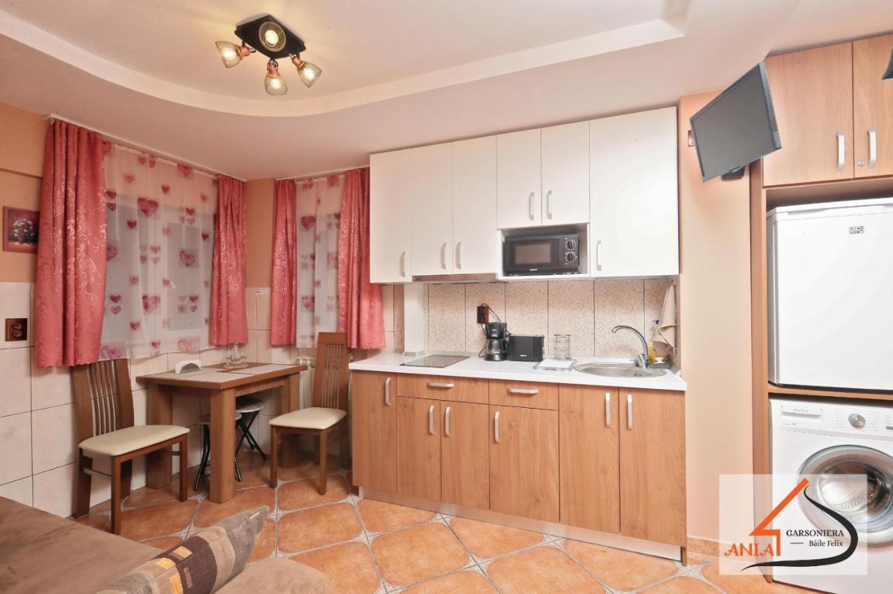 Ferienwohnung Garsoniera Ania Băile Felix Exterior foto