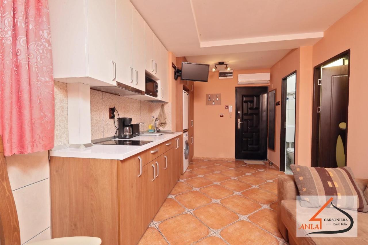 Ferienwohnung Garsoniera Ania Băile Felix Exterior foto